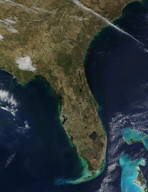 A state of water--Florida from space.